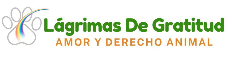 Logo del sitio Lagrimas de gratitud