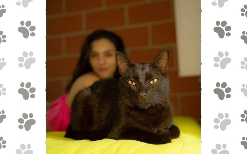historia de amor con mi mascota - Ciri, de la adopcion a la despedida